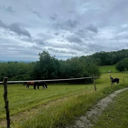 Troníček Penzion Kamenny Privoz